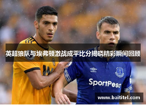 英超狼队与埃弗顿激战成平比分揭晓精彩瞬间回顾